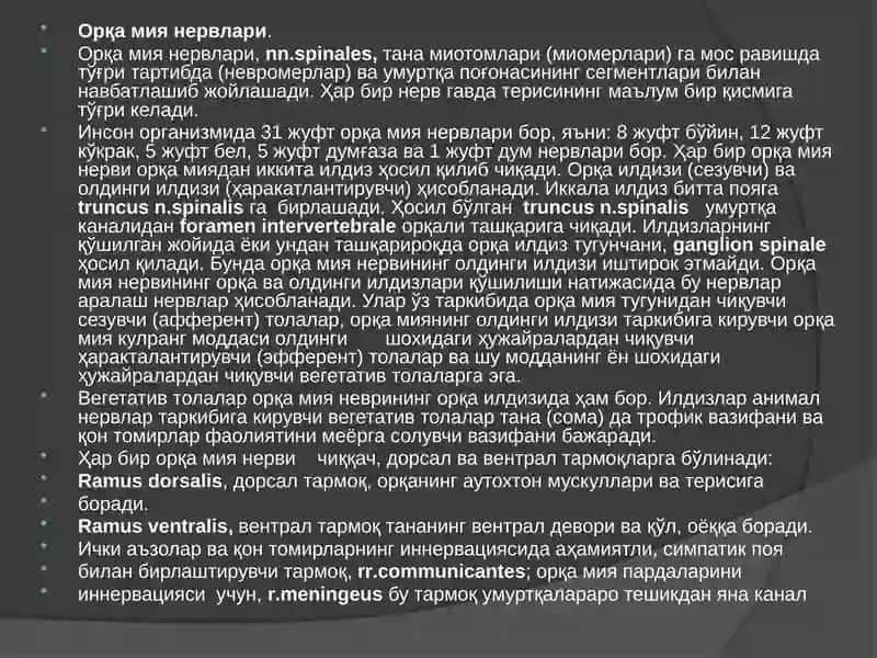 Орқа мия нервлари 3