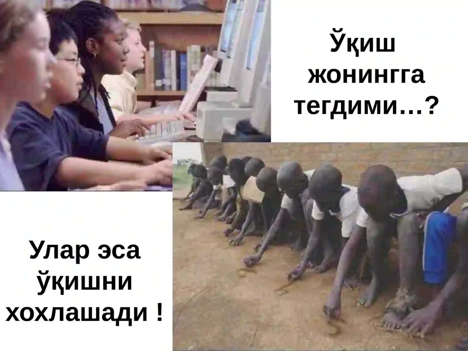 Ўйлаб кўр… 3