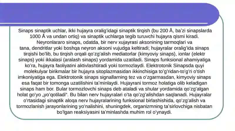Sinaps sinaptik uchlar 3