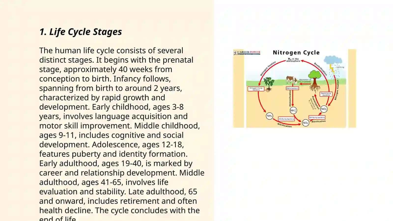 Cycle diagrams 3