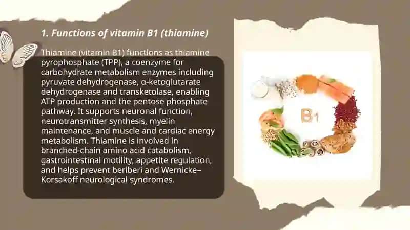 b1 vitamin 3