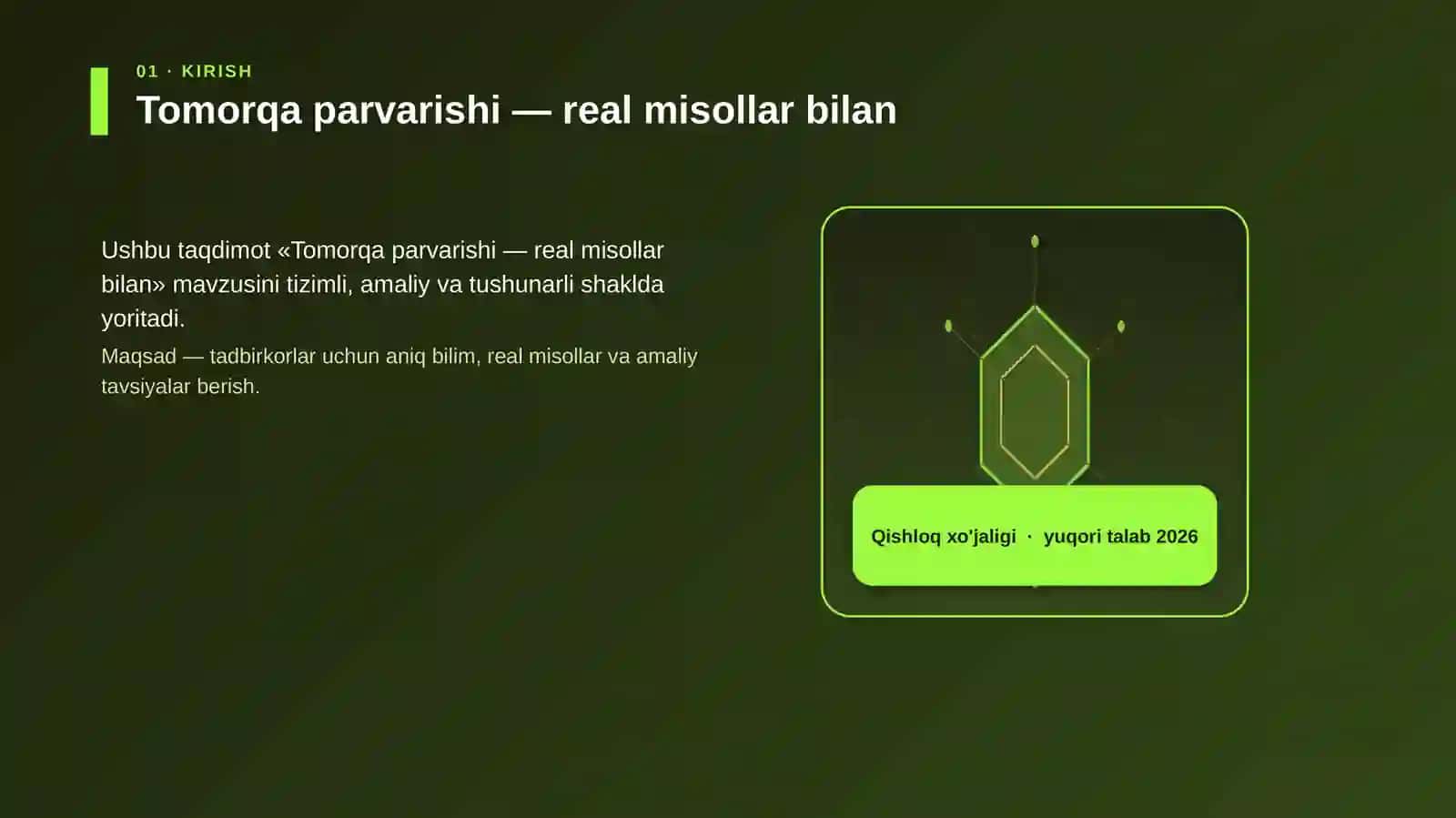Tomorqa parvarishi — real misollar bilan 3