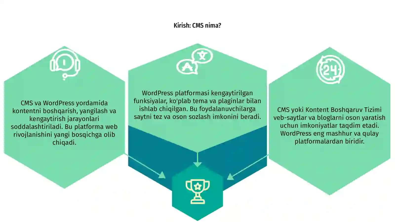 CMS tushunchasi va WordPress platformasining imkoniyatlari 3