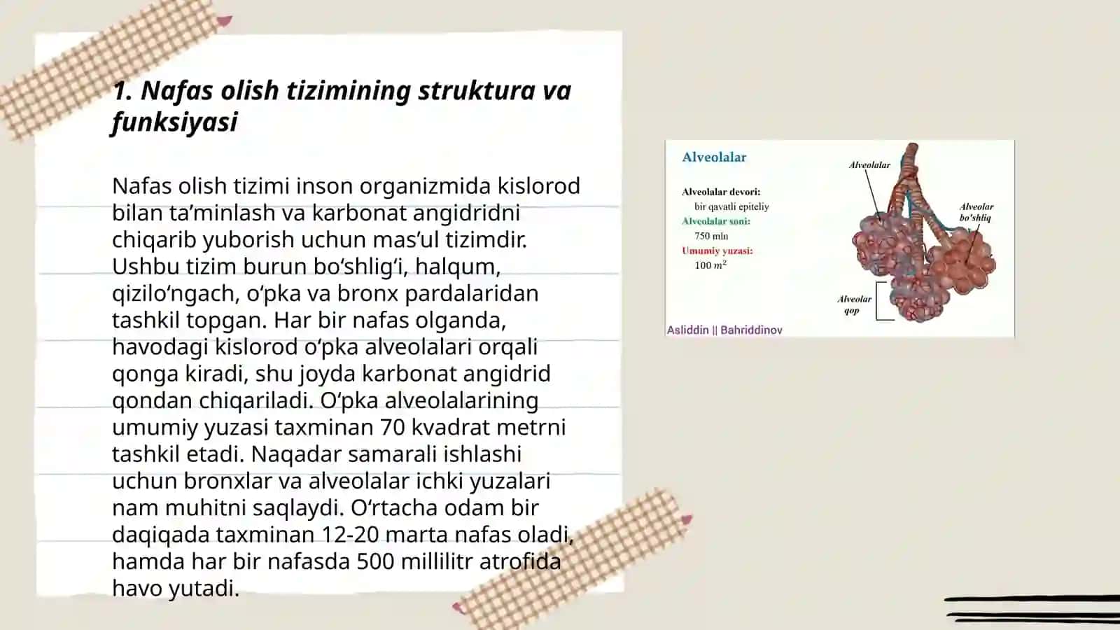 Nafas olish tizimi 3