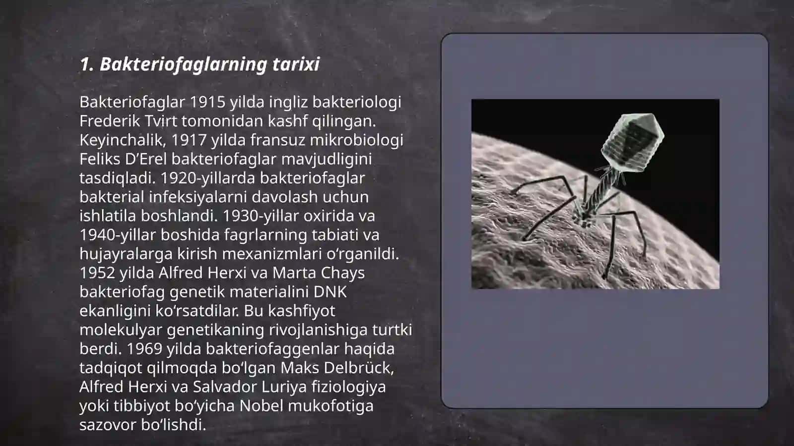 Bakteriofaglar 3