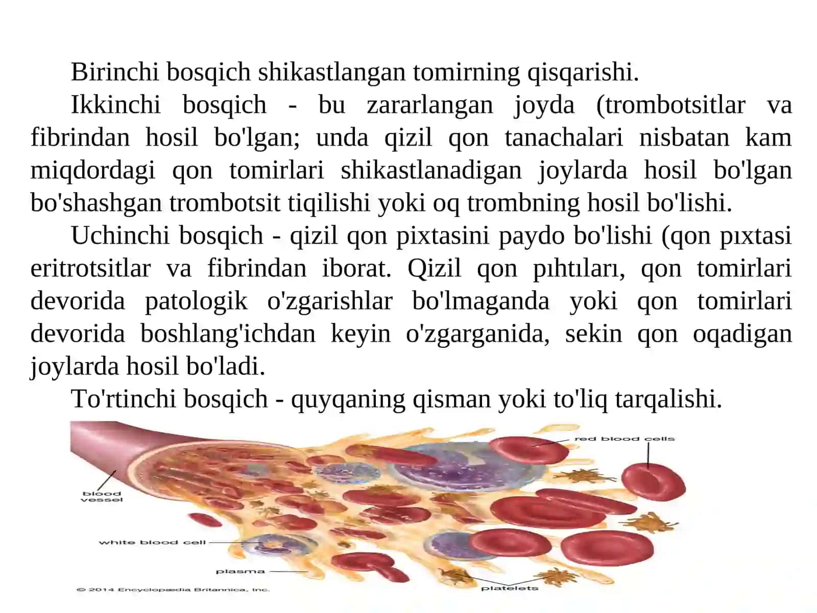 Normal qon ivish tizimi 3