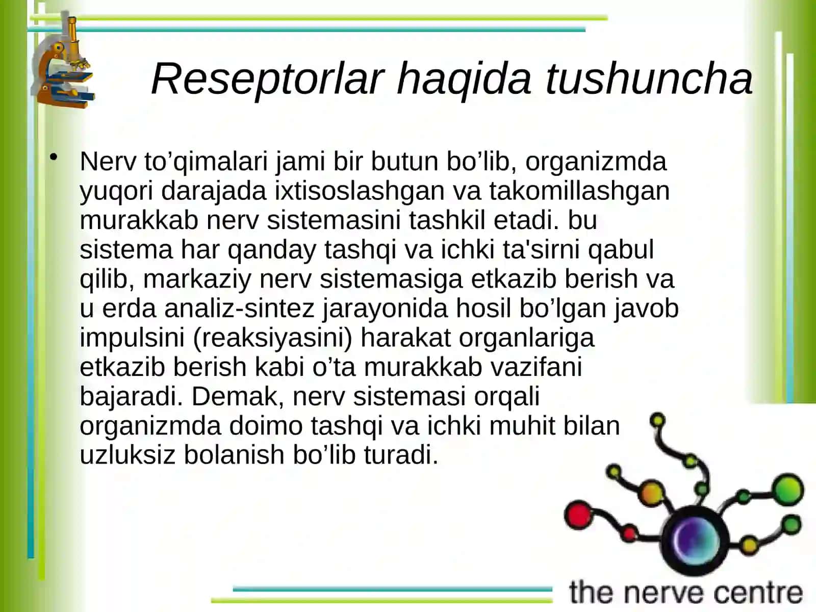 Nerv to`qimasi 3