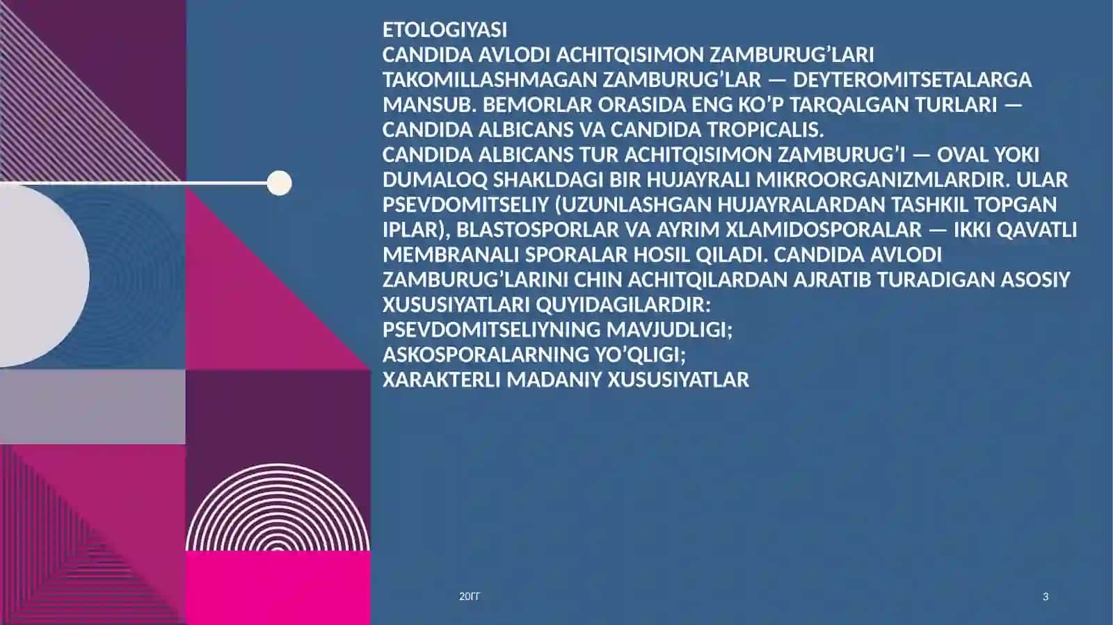Kandidoz 3