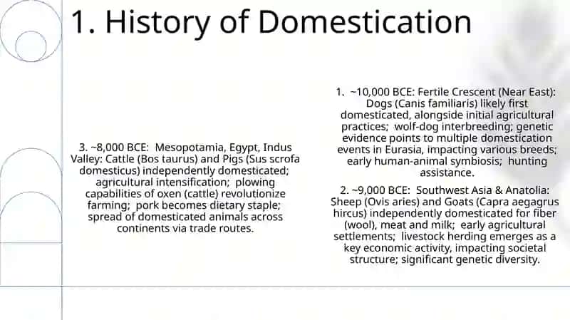 Domestic animals 3