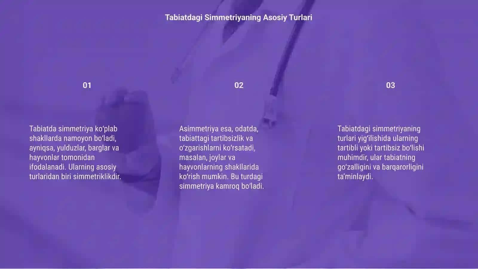 Tabiatdagi simetriya 3