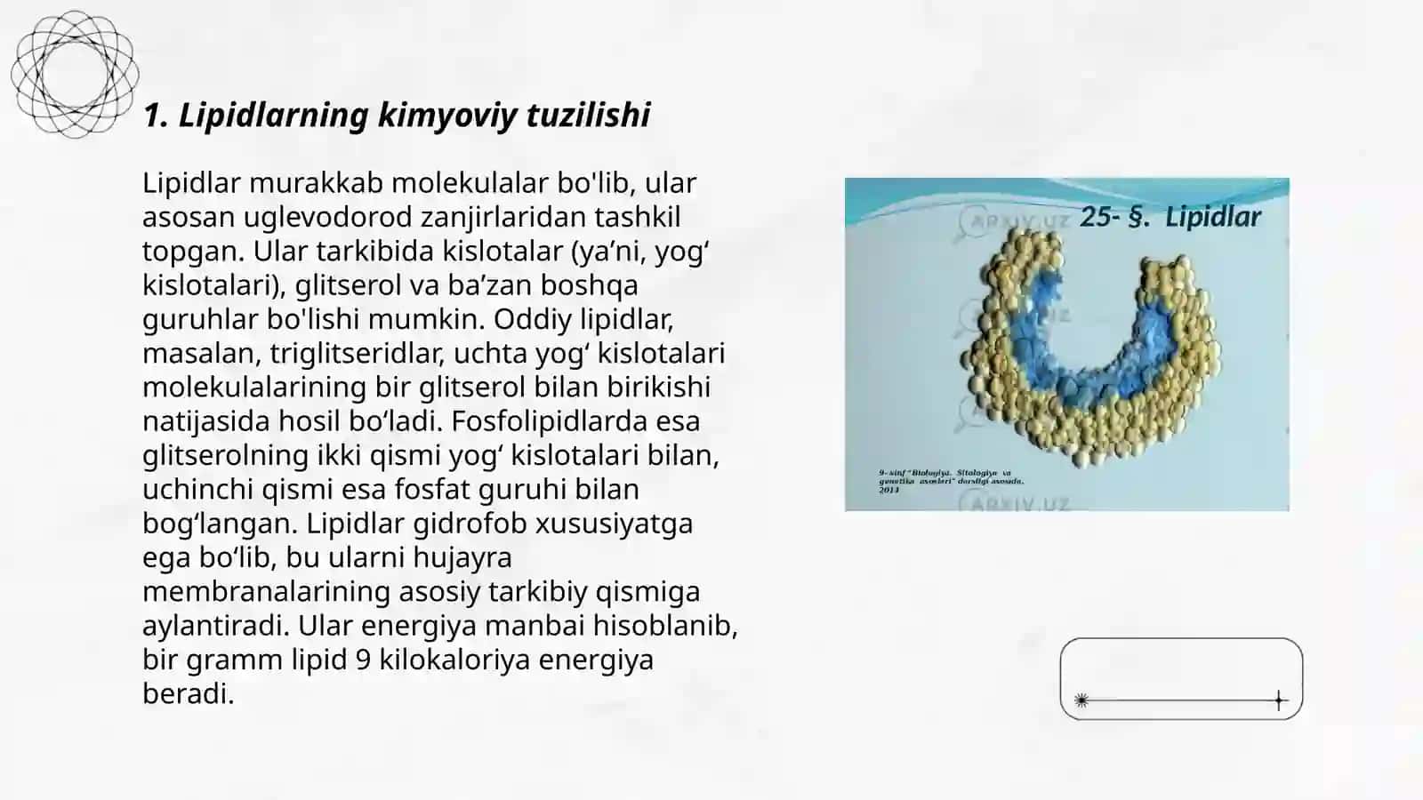 Lipidlar 3