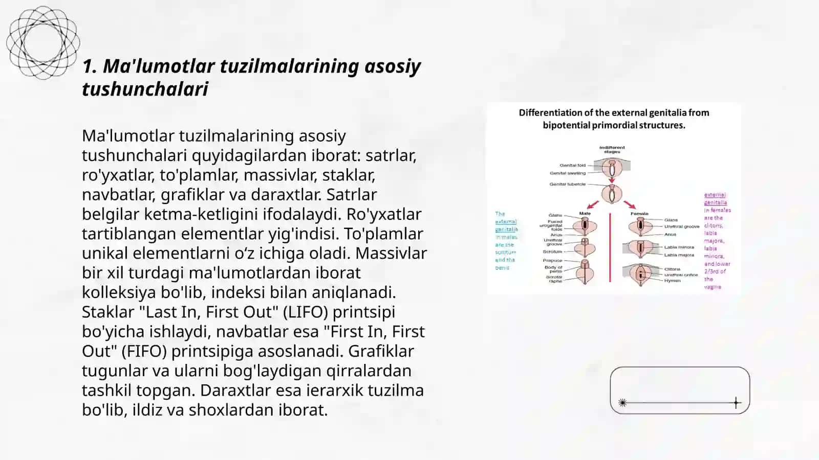 Ma’lumotlar tuzilmalari 3