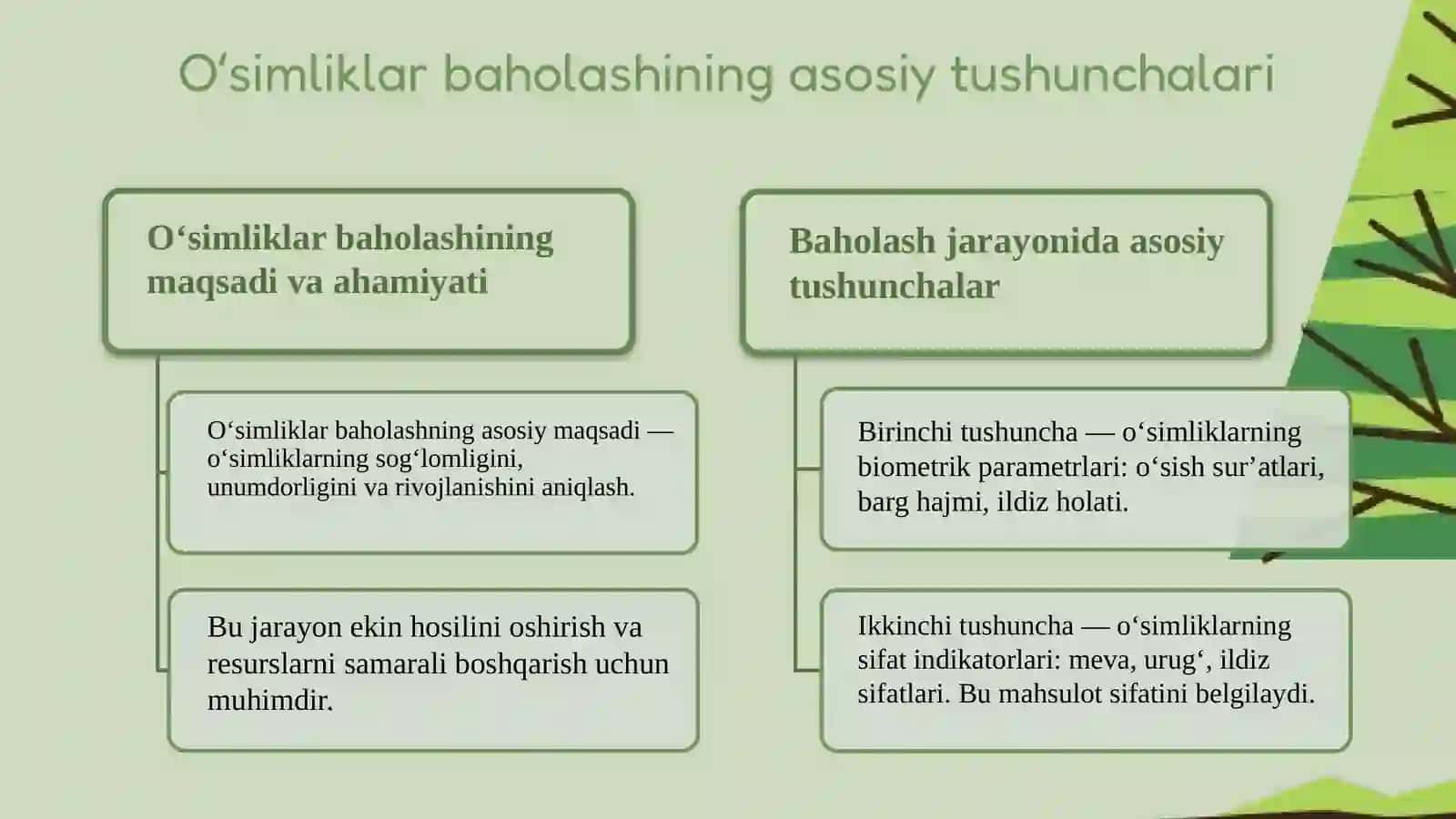 Oʻsimliklar evalutsiyasining asosiy bosqichlari 3