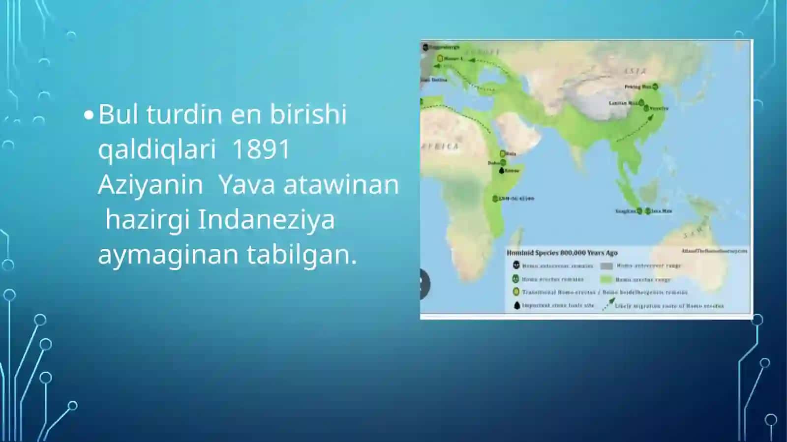 Insan evalyutsisinan tayarlagan slayti 3