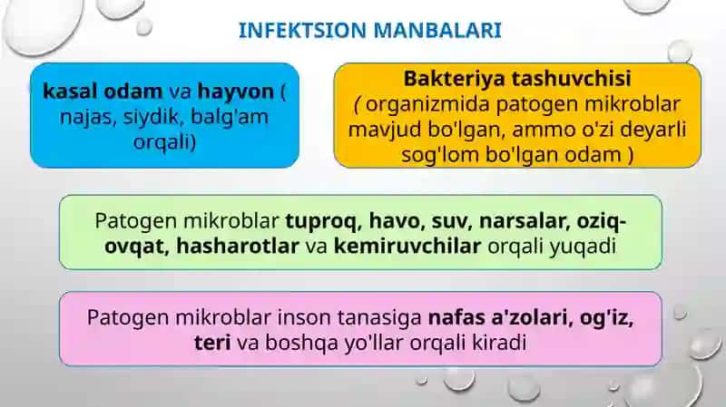 Ichakning yuqumli kasalliklari, zoonozlar, gelmintozlar va ularning oldini olish 3
