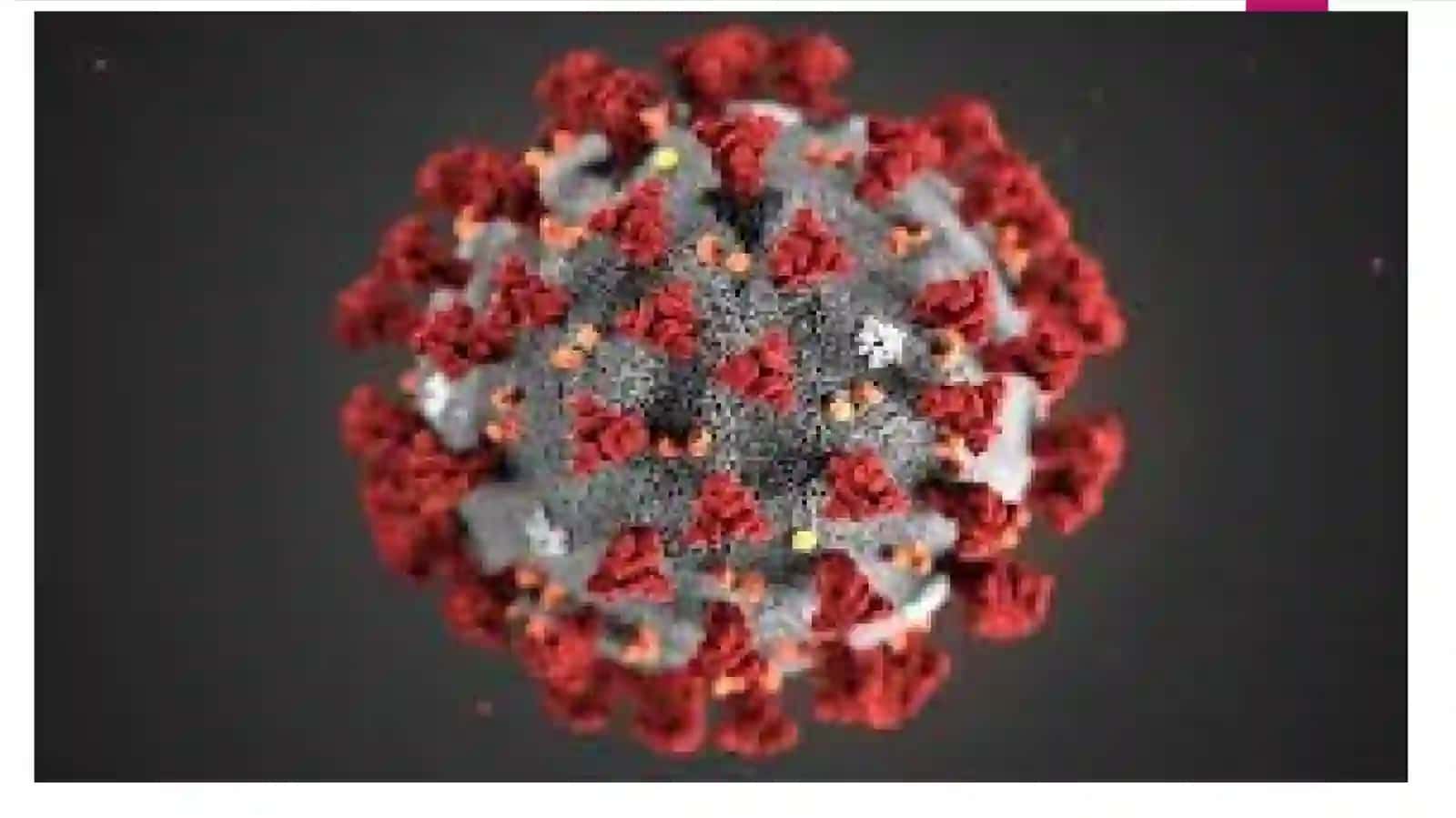 Koronavirus 3