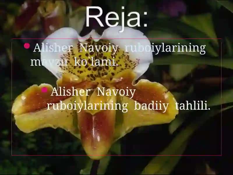 Alisher Navoiy – ruboiynavis 3
