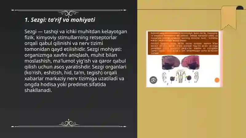 Sezgi 3