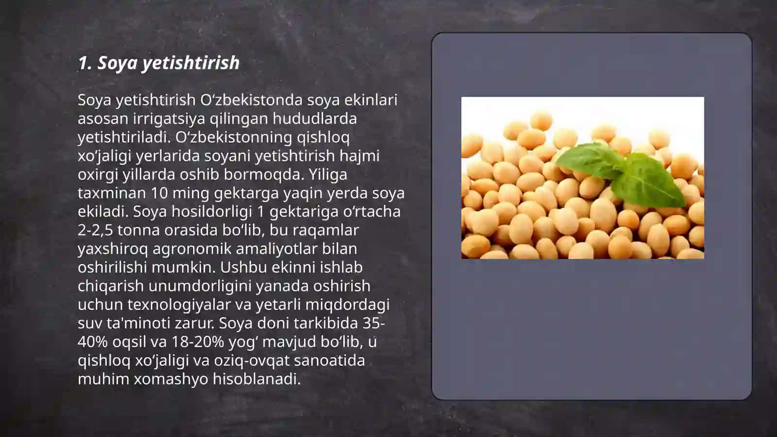 Soya yetishtirish 3