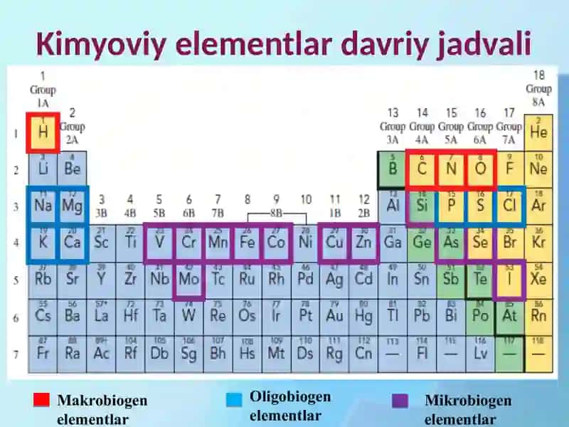 Biogen elementlarning ahamiyati 3
