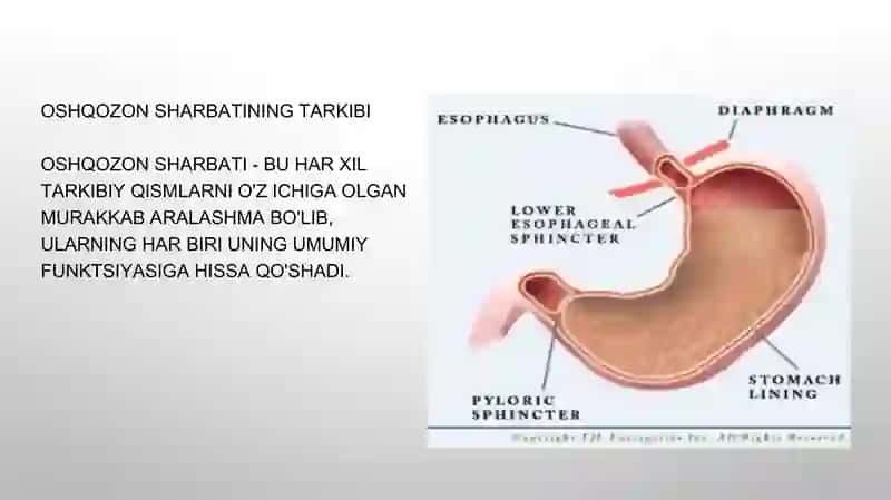 Oshqozon shirasining interpretatsiyasi 3