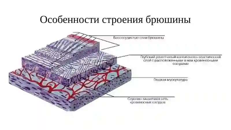 Перитонеальный диализ 3