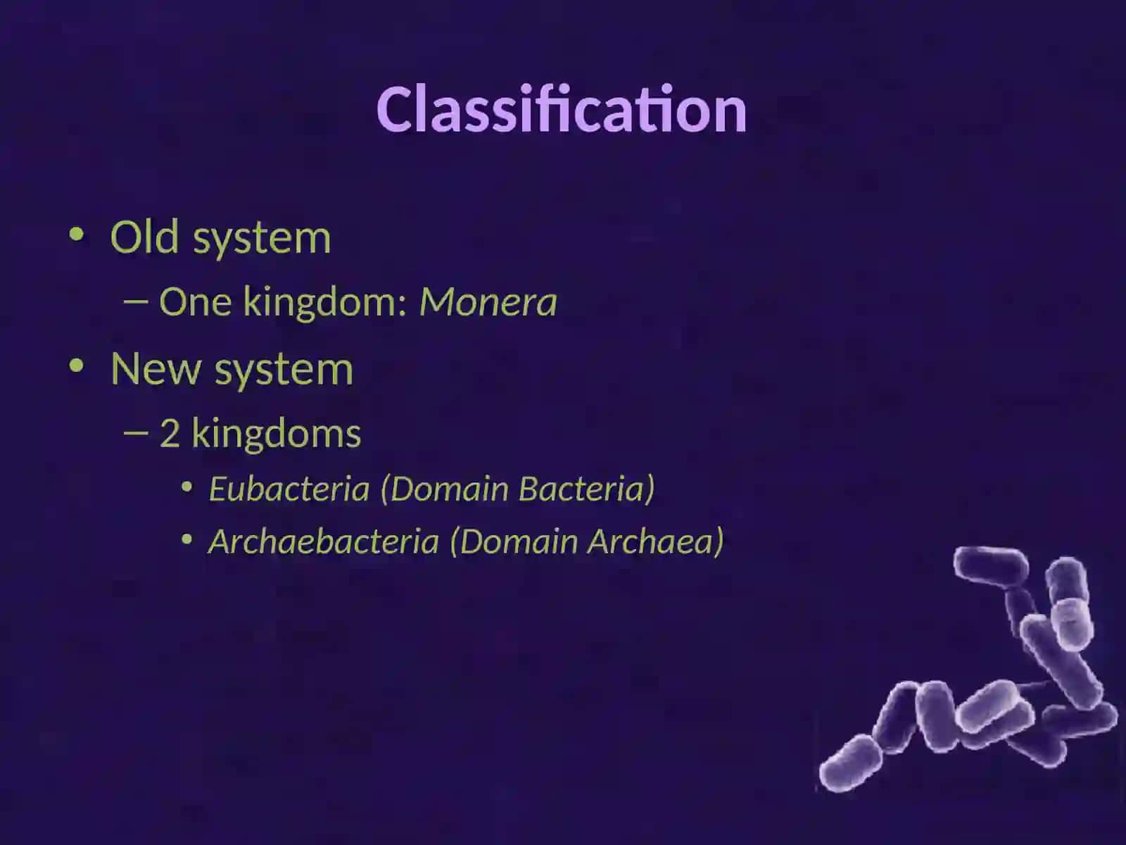 Viruses and Bacteria 3