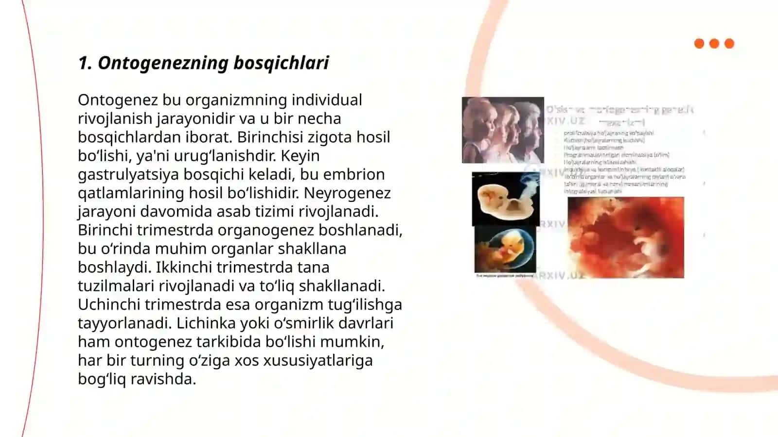 Embrional rivojlanishning umumiy qonuniyatlari 3