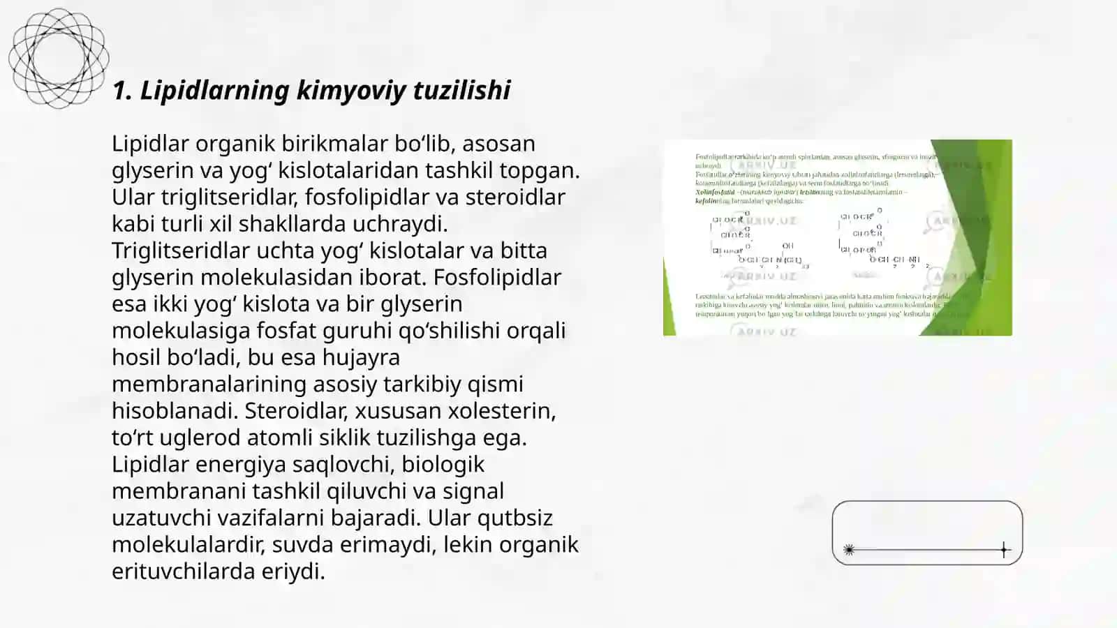 Lipidlar 3