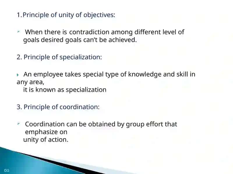 Organisation 3