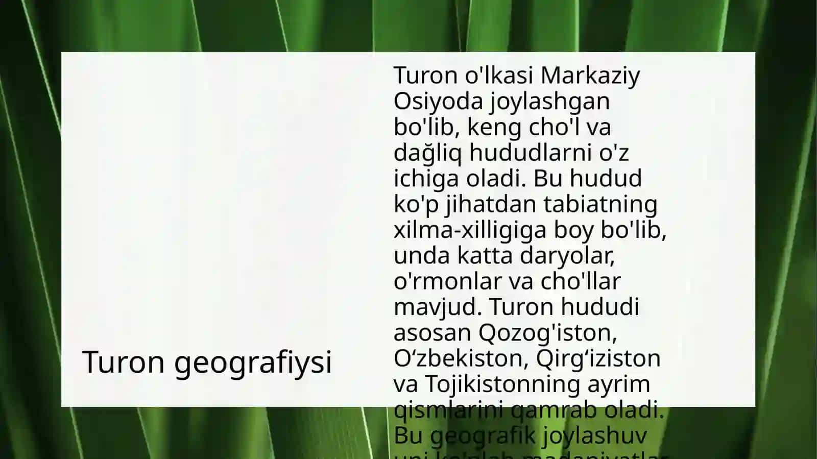 Turon O'lqasi Haqida 3