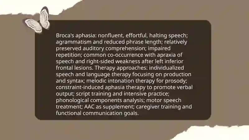 Aphasia types and therapy 3
