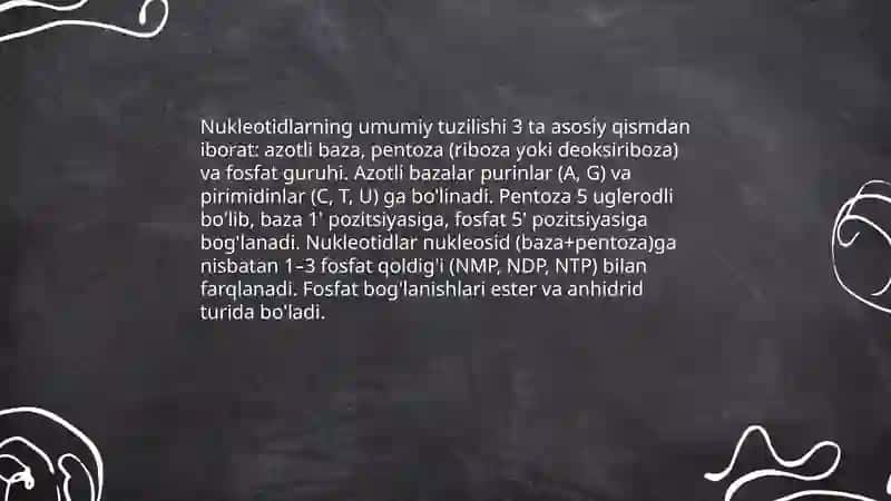 Nukleotidlar 3