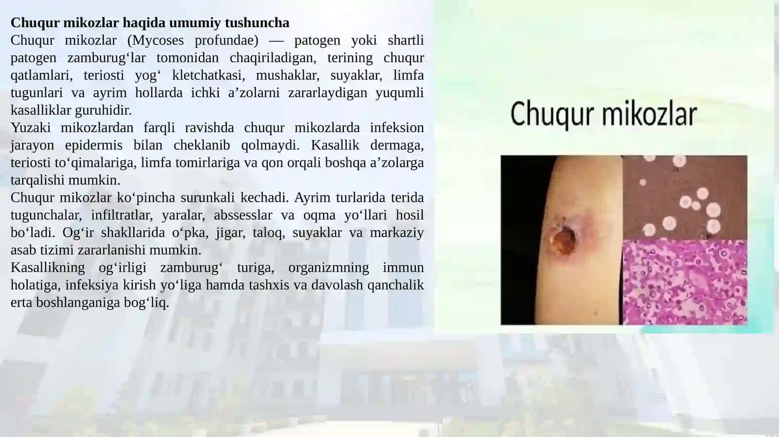 Chuqur mikozlar 3