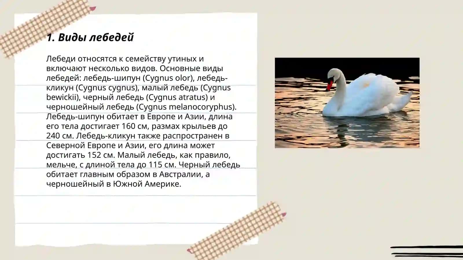 Rus tilida Lebed' 3
