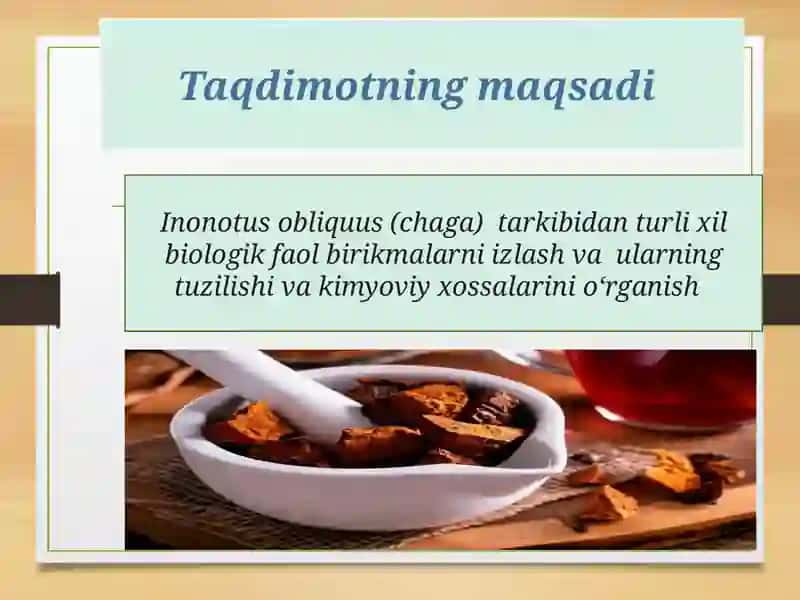 Inonotus obliquus (chaga) 3