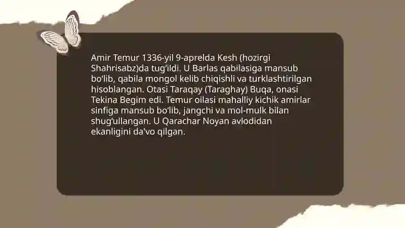 Amir Temur 3