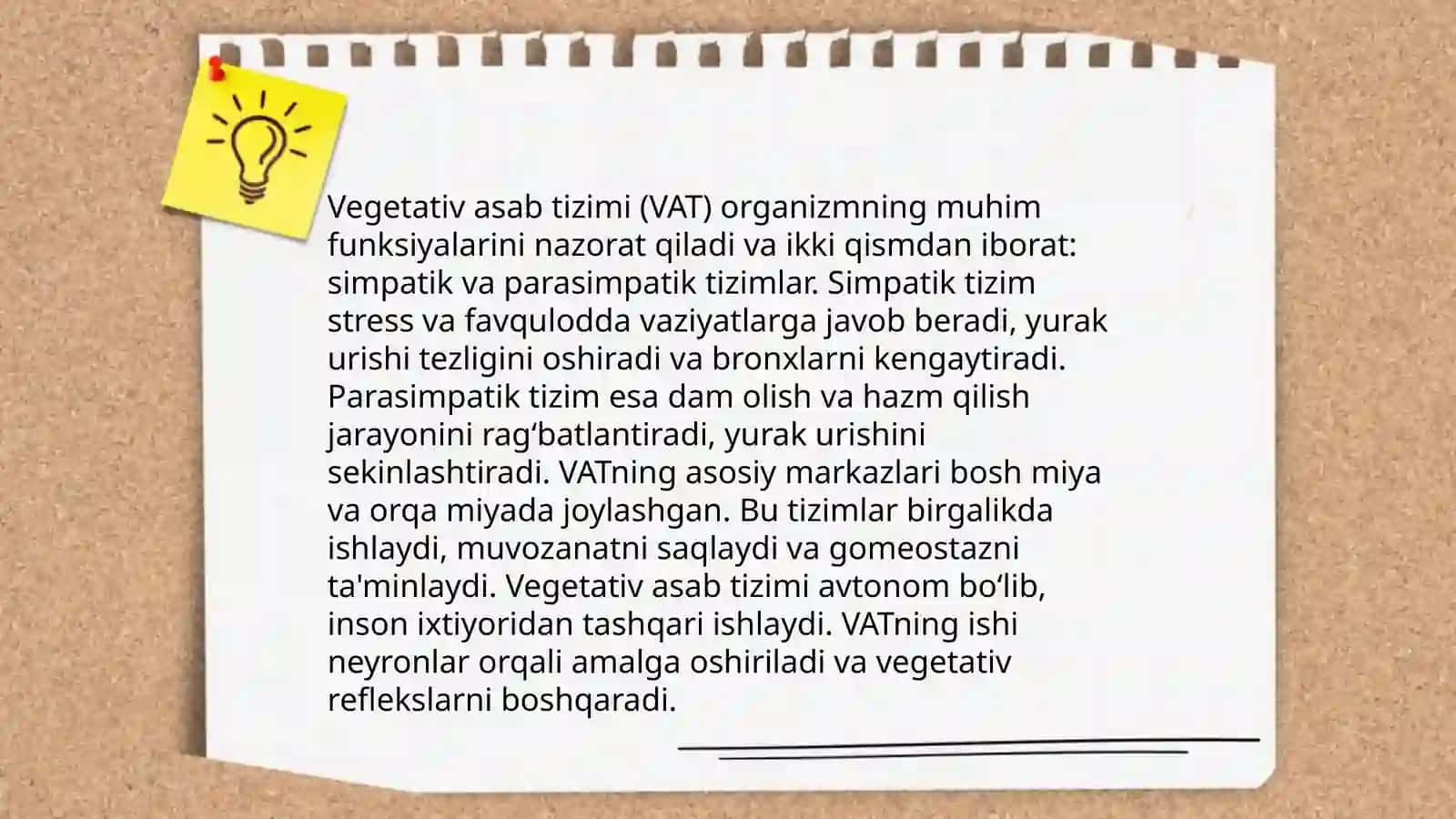 Vegetativ asab sistemasi 3