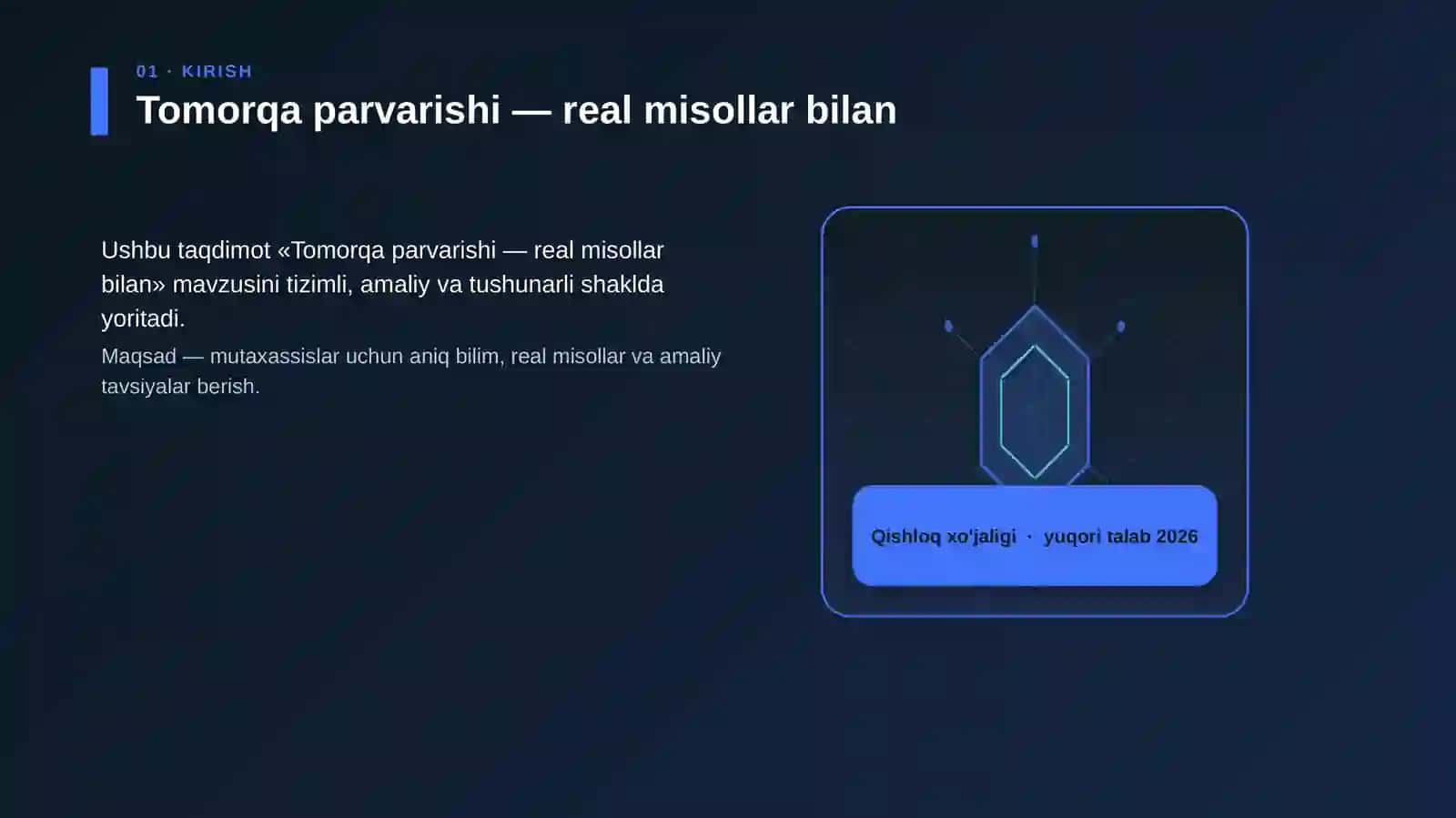 Tomorqa parvarishi — real misollar bilan 3