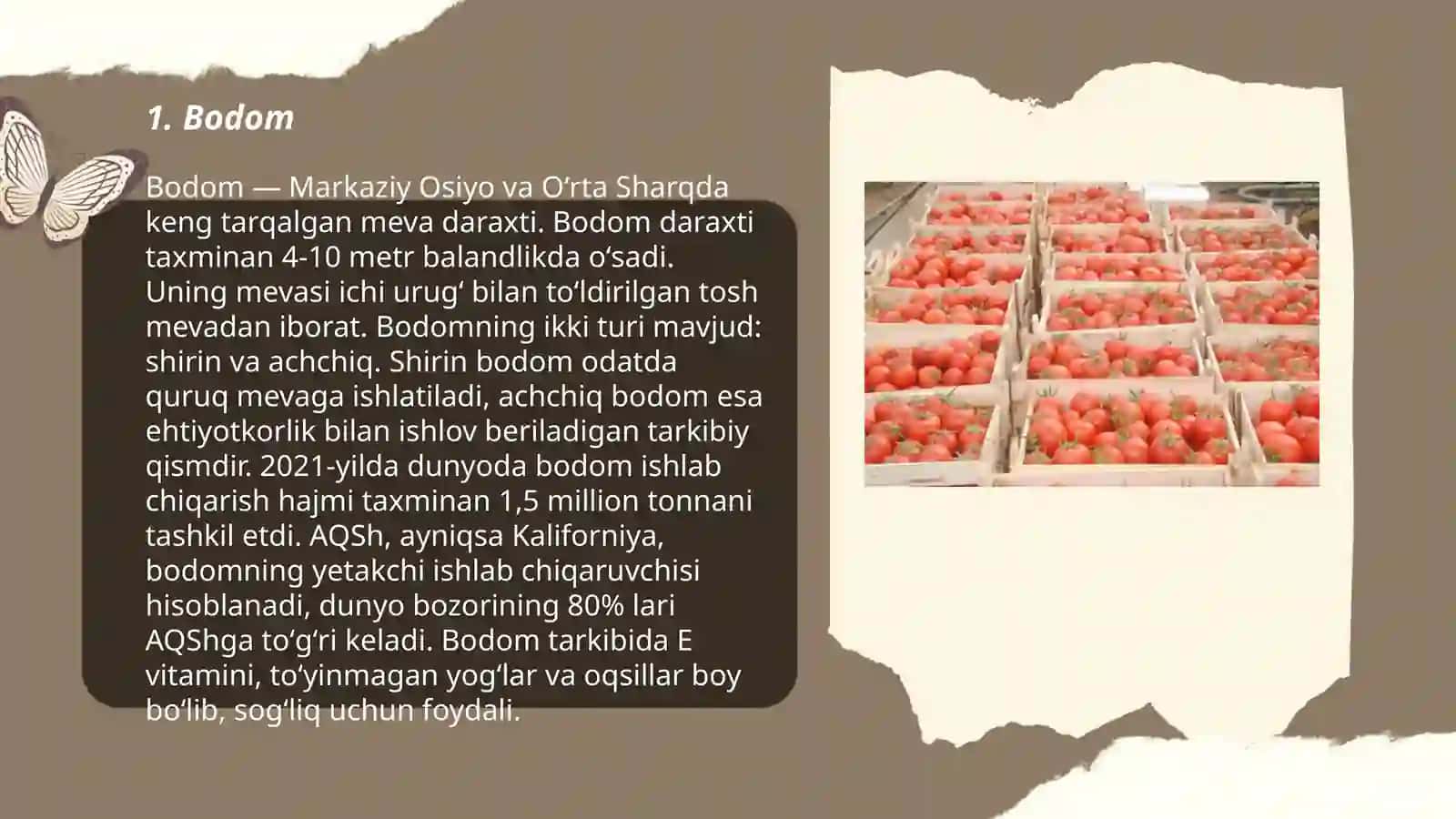 Urugli VA danakli mevalar 3
