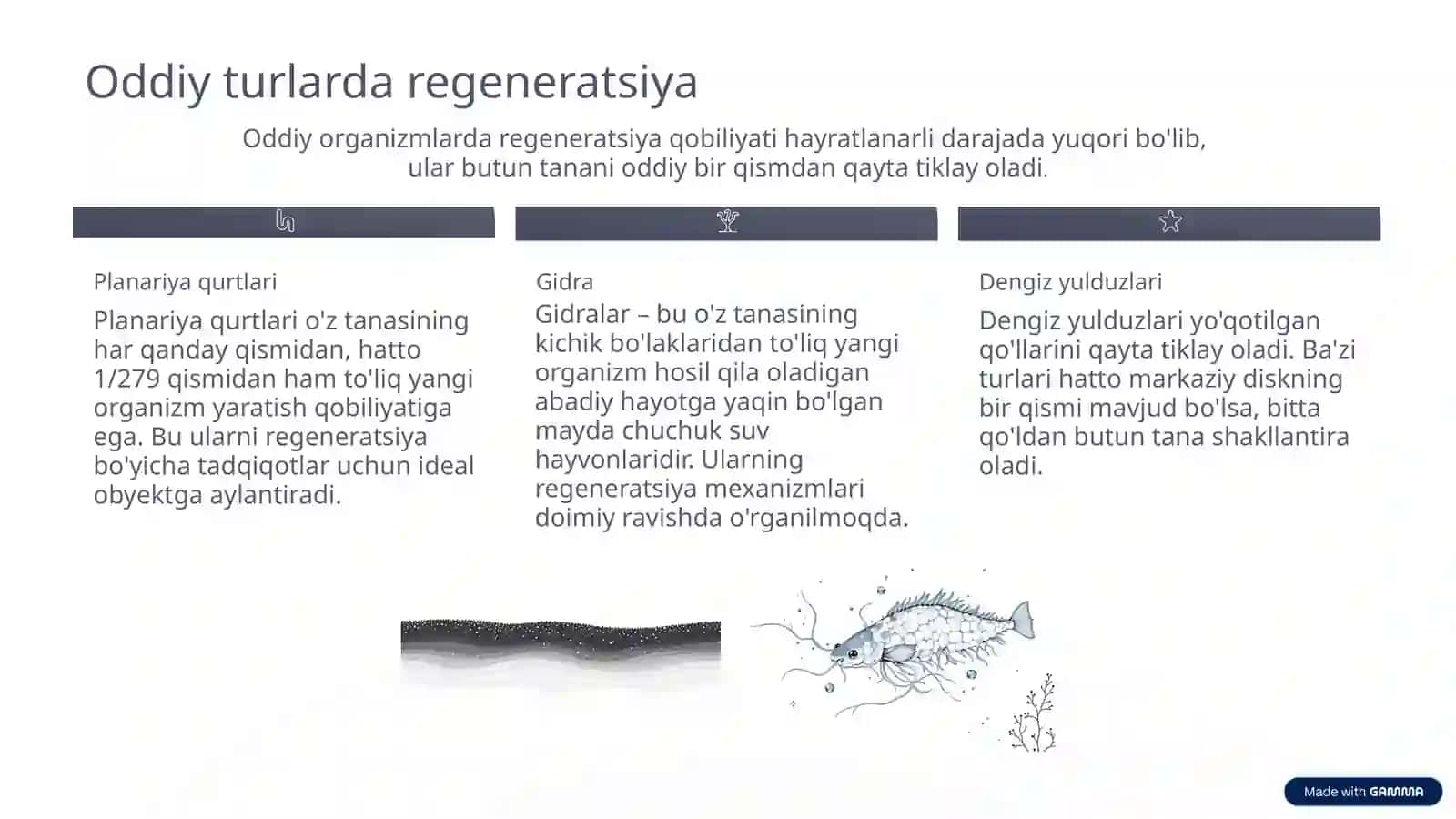REGENERATSIYA 3