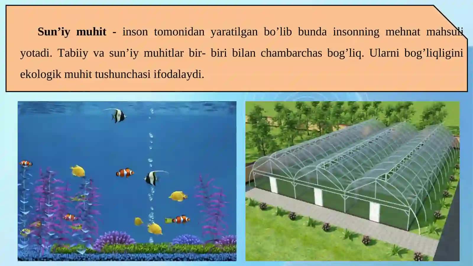 Ekologik muhit 3