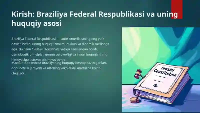 Braziliya huquq tizimi 3