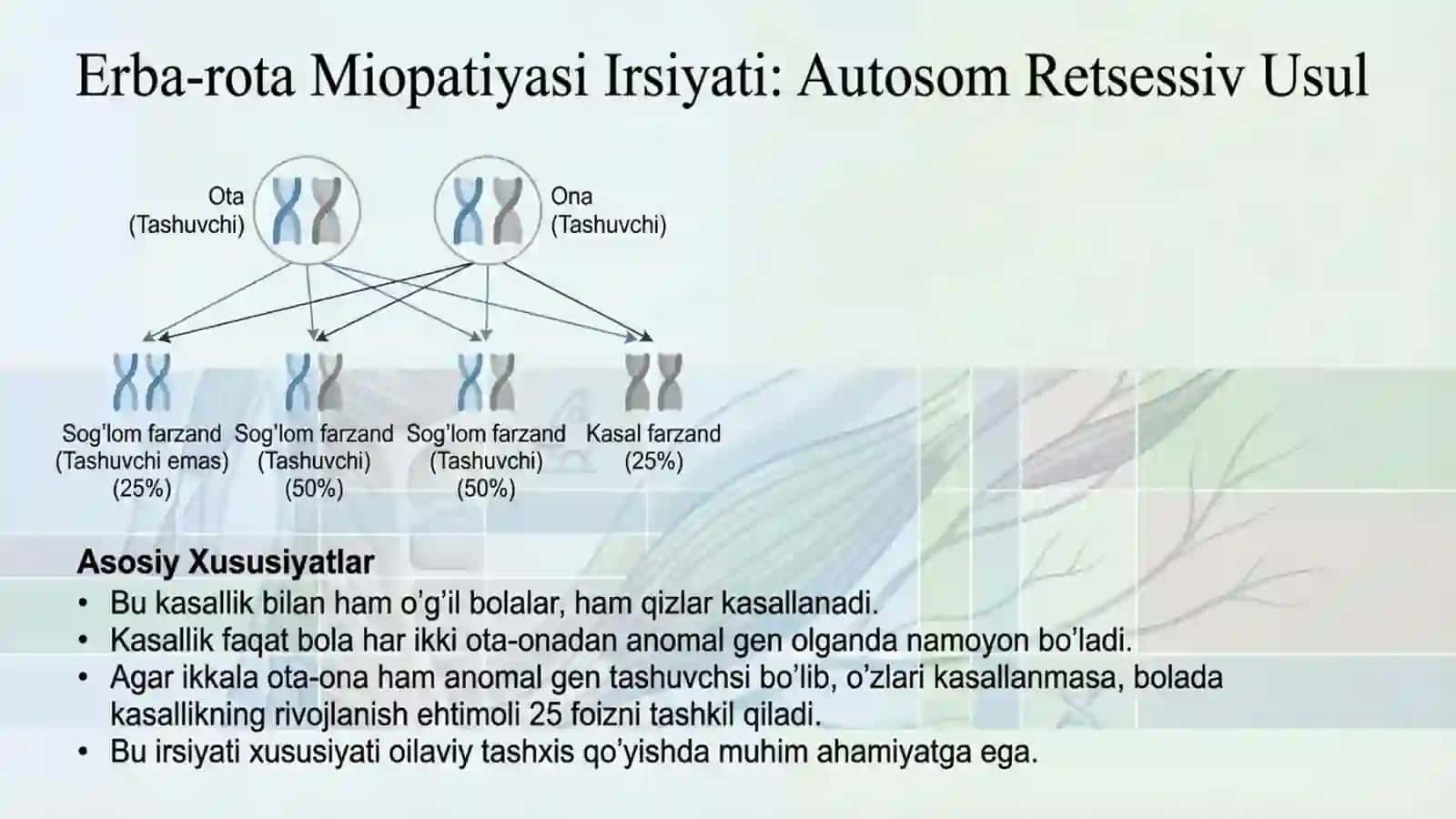 Erba-rota miopatiyasi 3