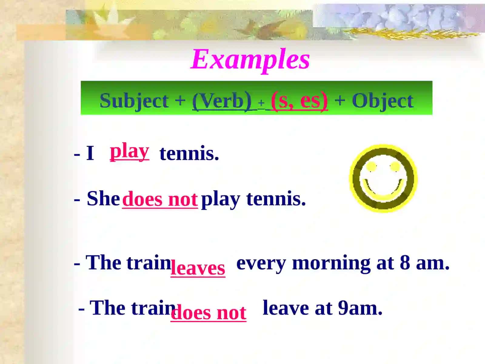 The Present Simple 3