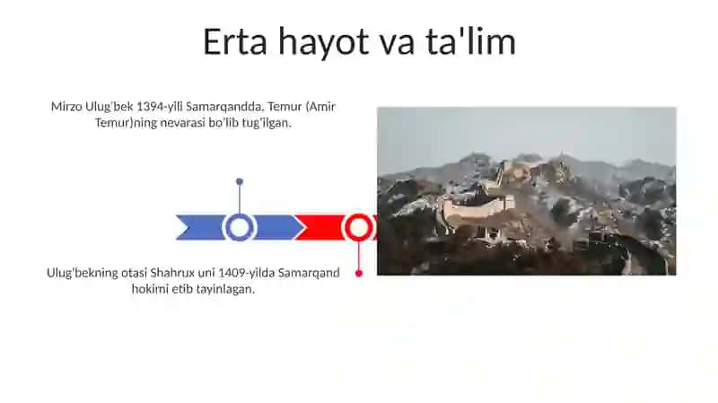 Mirzo Ulug'bek: Davlat Arbobı 3