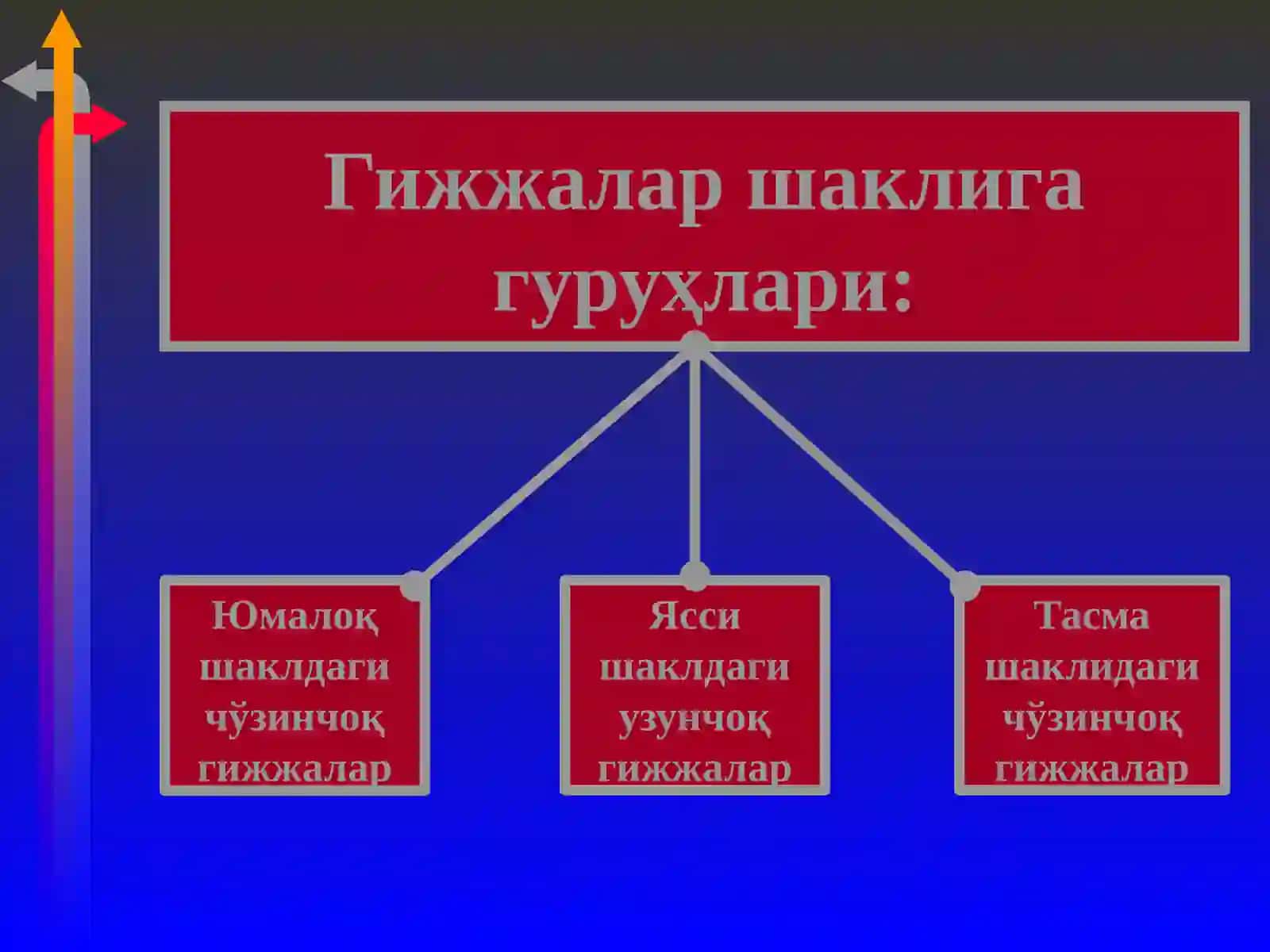 Гижжа касалликлари 3