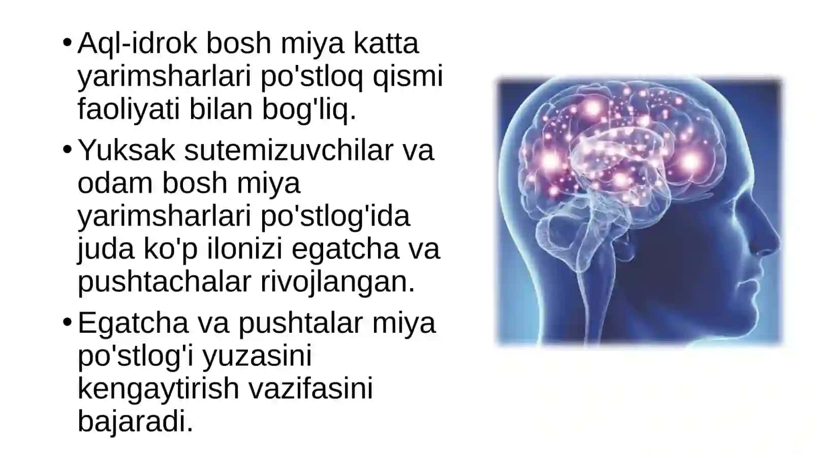Biologiya 3