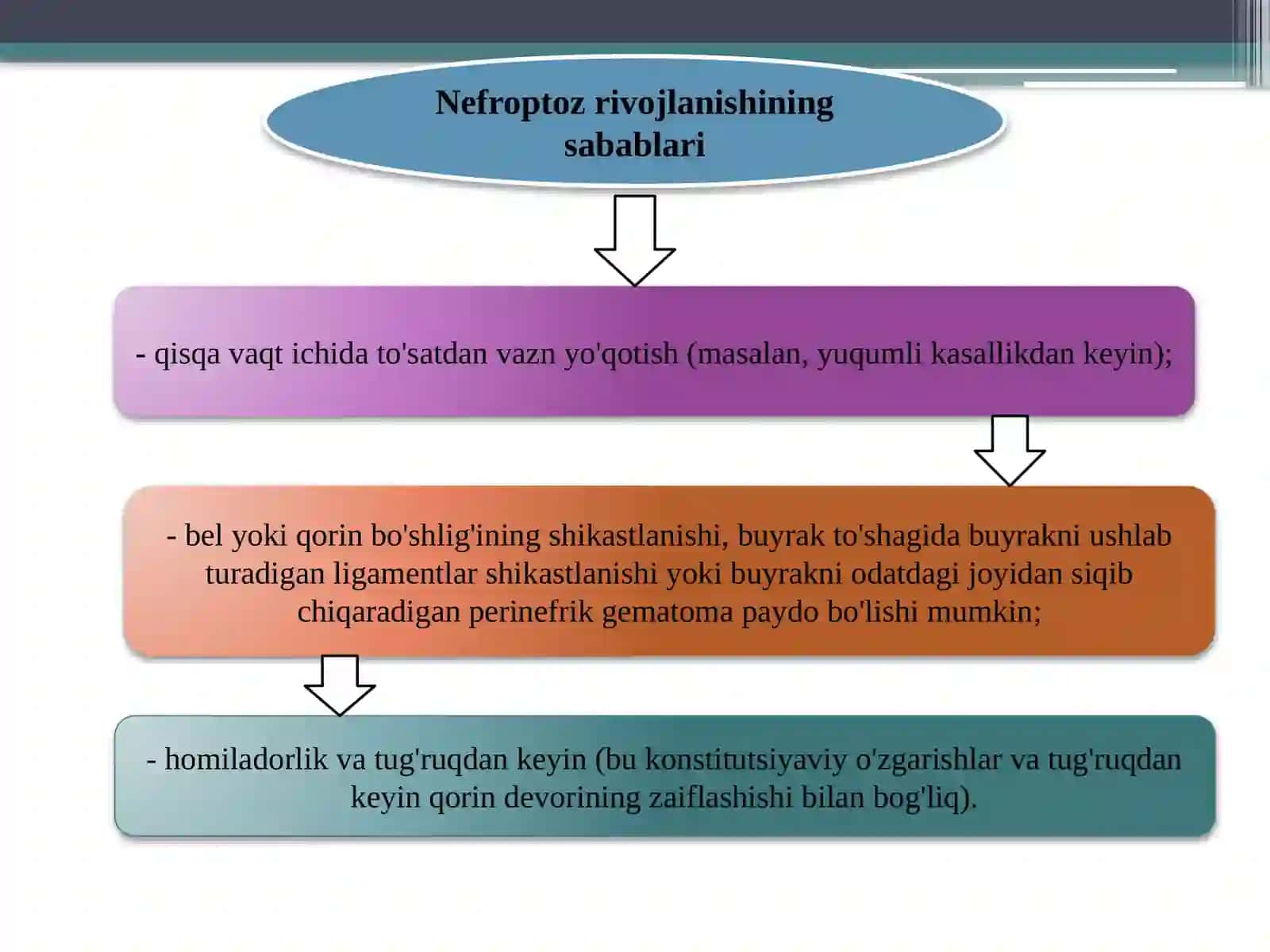 Nefroptoz 3