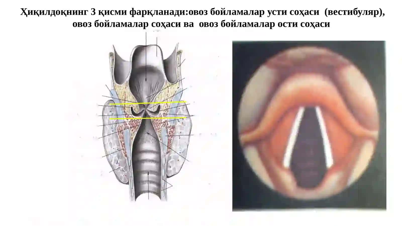ҲИҚИЛДОҚРАКИ-С32 3